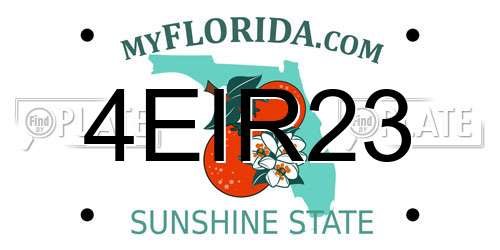 4EIR23 Florida License Plate