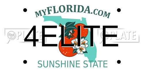 4ELITE Florida License Plate