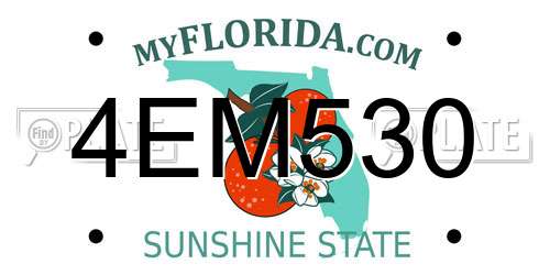 4EM530 Florida License Plate