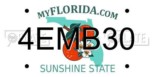 4EMB30 Florida License Plate