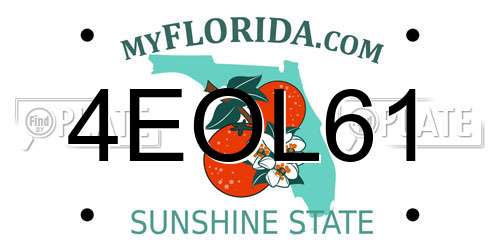 4EOL61 Florida License Plate