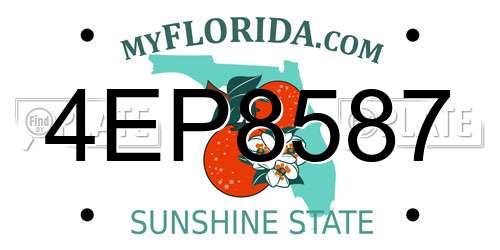 4EP8587 Florida License Plate