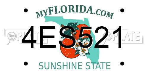 4ES521 Florida License Plate