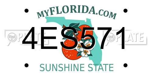 4ES571 Florida License Plate