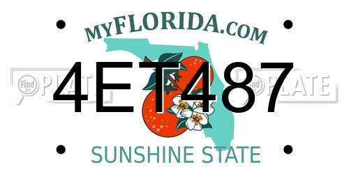 4ET487 Florida License Plate