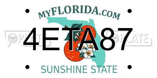 4ETA87 Florida License Plate