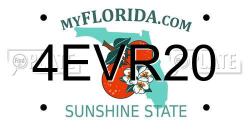 4EVR20 Florida License Plate