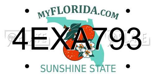 4EXA793 Florida License Plate