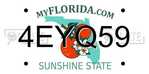 4EYQ59 Florida License Plate