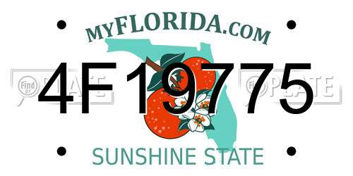 4F19775 Florida License Plate