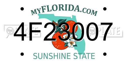 4F23007 Florida License Plate