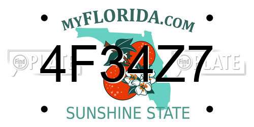 4F34Z7 Florida License Plate