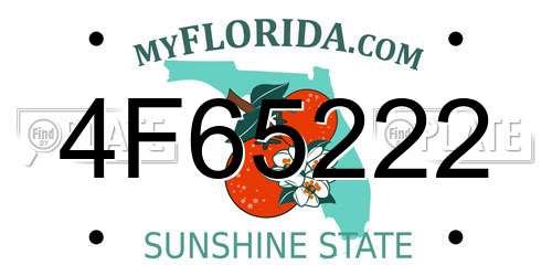 4F65222 Florida License Plate