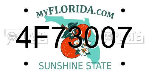 4F73007 Florida License Plate