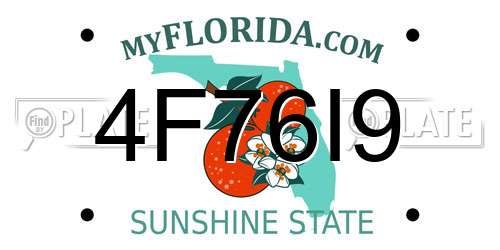 4F76I9 Florida License Plate