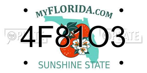 4F81O3 Florida License Plate