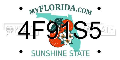 4F91S5 Florida License Plate