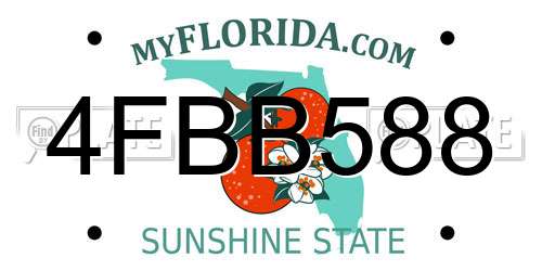 4FBB588 Florida License Plate
