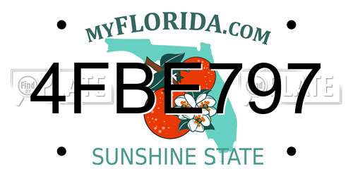 4FBE797 Florida License Plate