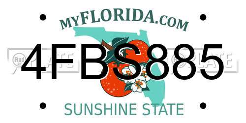 4FBS885 Florida License Plate