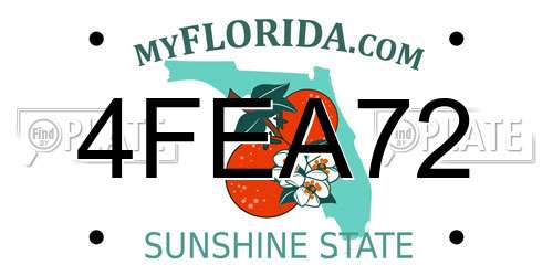 4FEA72 Florida License Plate