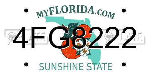 4FG8222 Florida License Plate