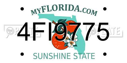 4FI9775 Florida License Plate