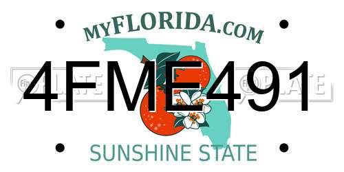 4FME491 Florida License Plate