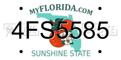 4FS5585 Florida License Plate