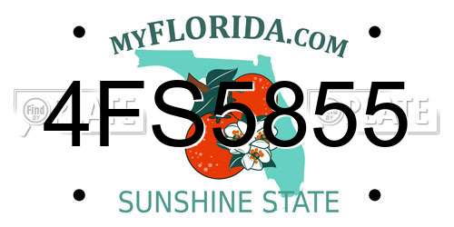 4FS5855 Florida License Plate