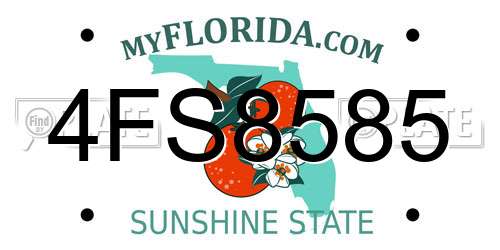 4FS8585 Florida License Plate