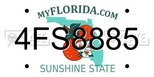 4FS8885 Florida License Plate