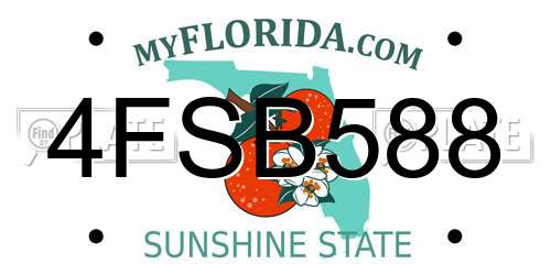 4FSB588 Florida License Plate
