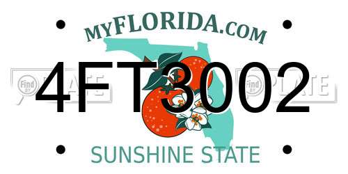 4FT3002 Florida License Plate
