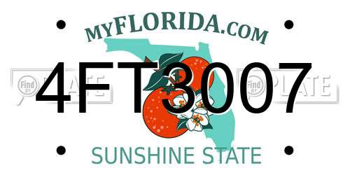 4FT3007 Florida License Plate
