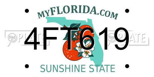 4FT619 Florida License Plate
