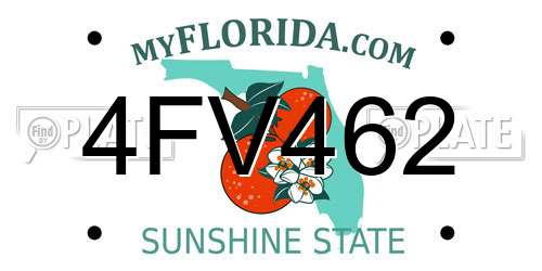 4FV462 Florida License Plate