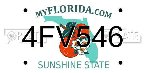 4FV546 Florida License Plate