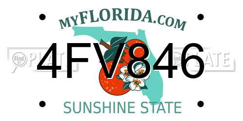 4FV846 Florida License Plate