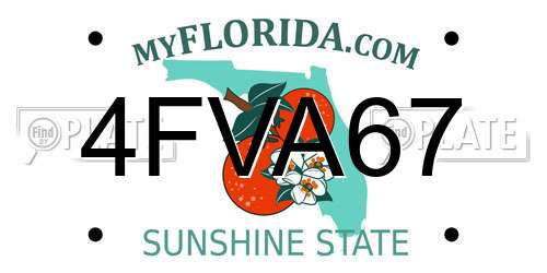 4FVA67 Florida License Plate