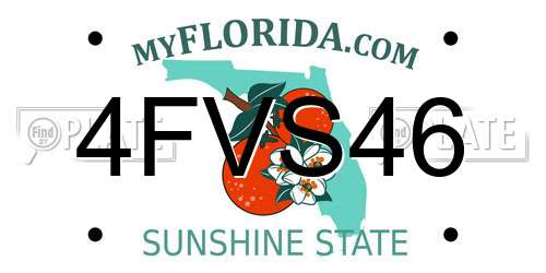 4FVS46 Florida License Plate