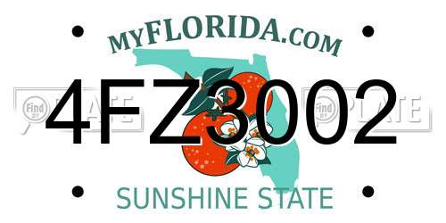4FZ3002 Florida License Plate