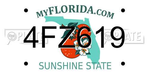 4FZ619 Florida License Plate