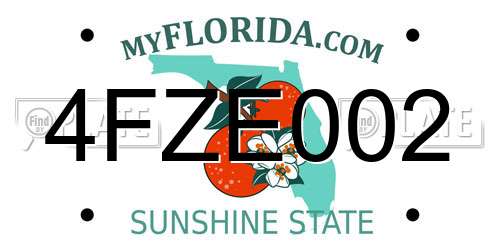 4FZE002 Florida License Plate