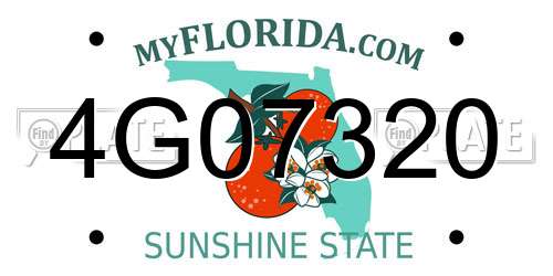 4G07320 Florida License Plate