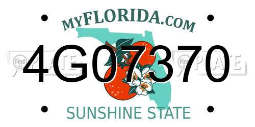 4G07370 Florida License Plate