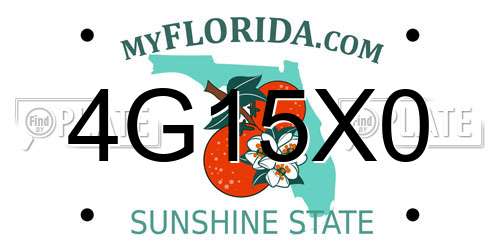 4G15X0 Florida License Plate
