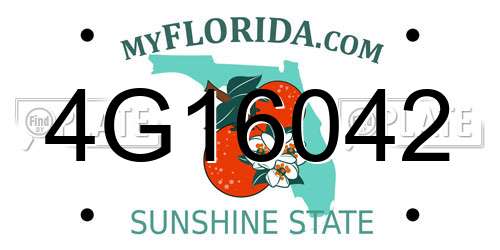 4G16042 Florida License Plate