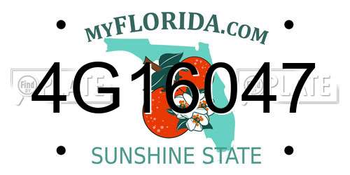 4G16047 Florida License Plate