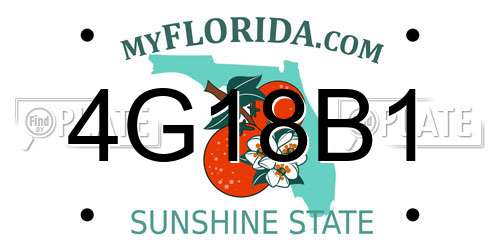 4G18B1 Florida License Plate